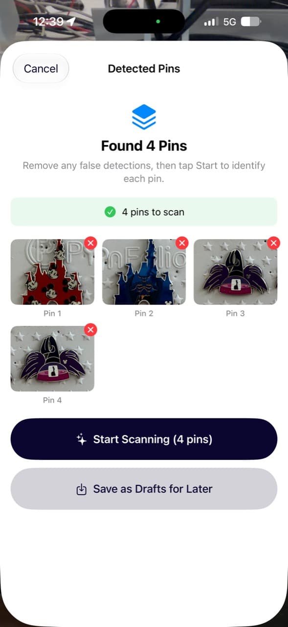 ParkBound Collections multi-pin detection screen with four detected pins