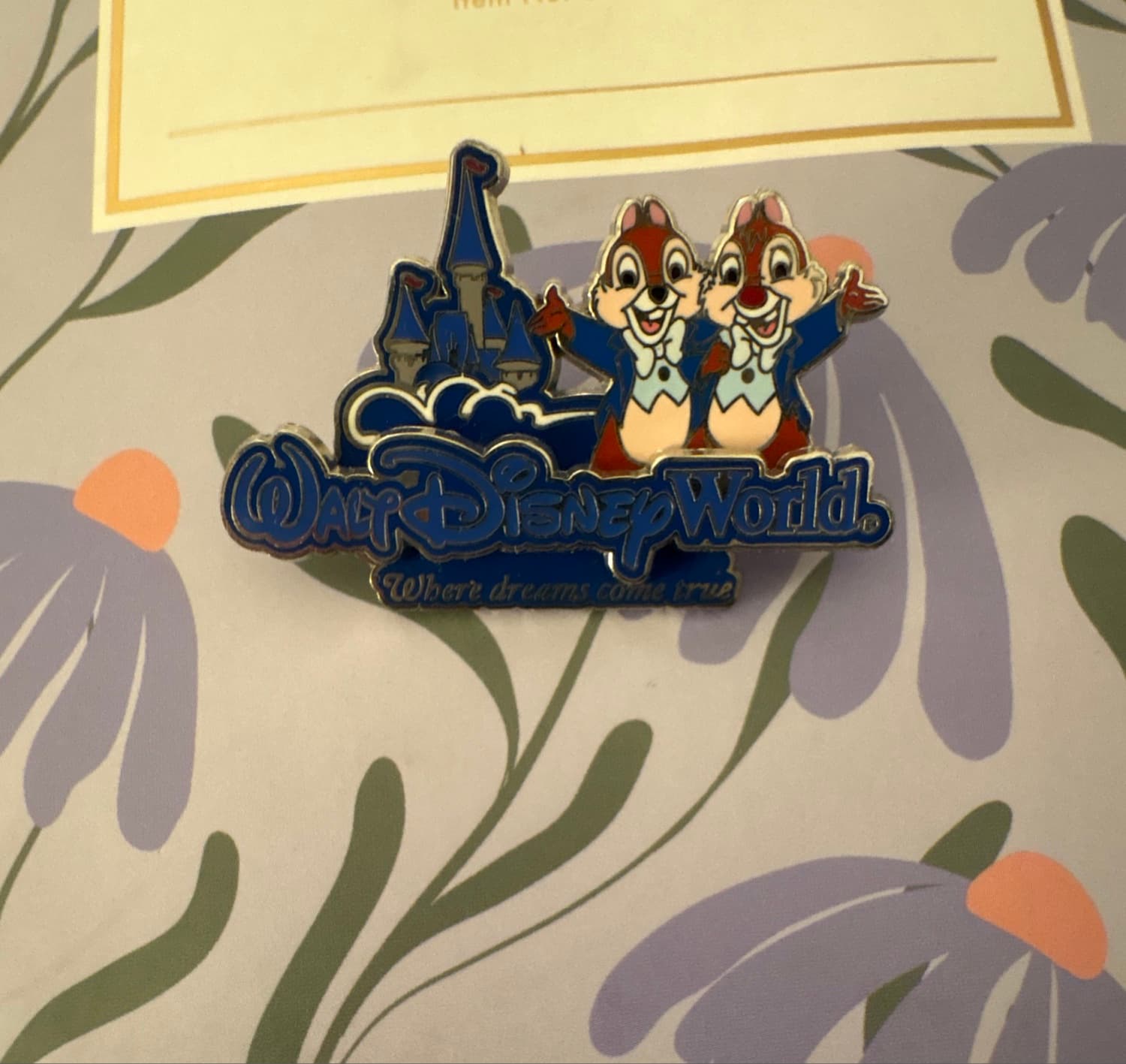 Chip & Dale WDW