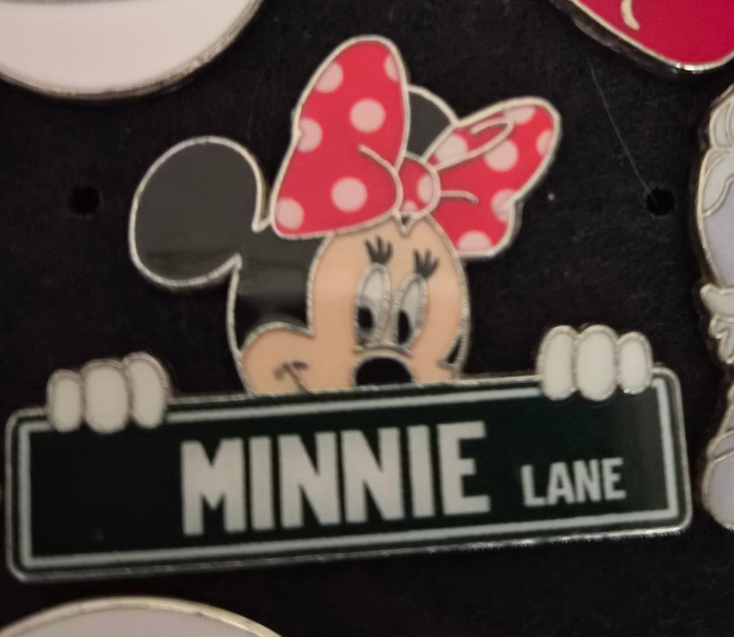 Minnie Lane Street Sign