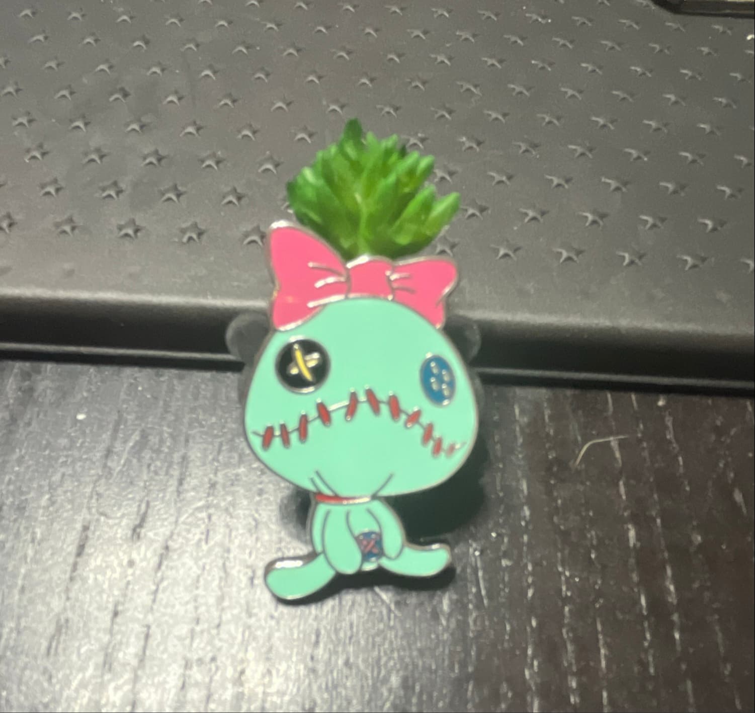 Lilo & Stitch (Scrump) Succulent