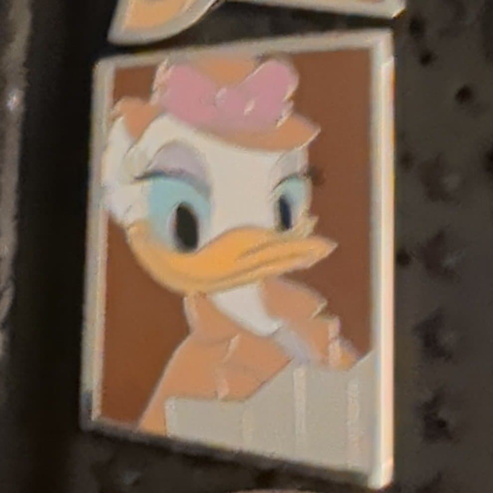 Daisy Duck - DCA Construction Fence front