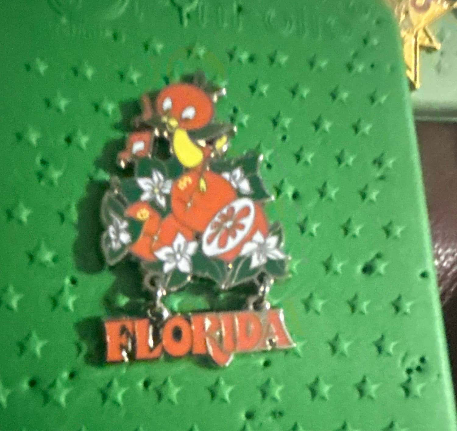 Florida Orange Bird Vault Collection Pin front
