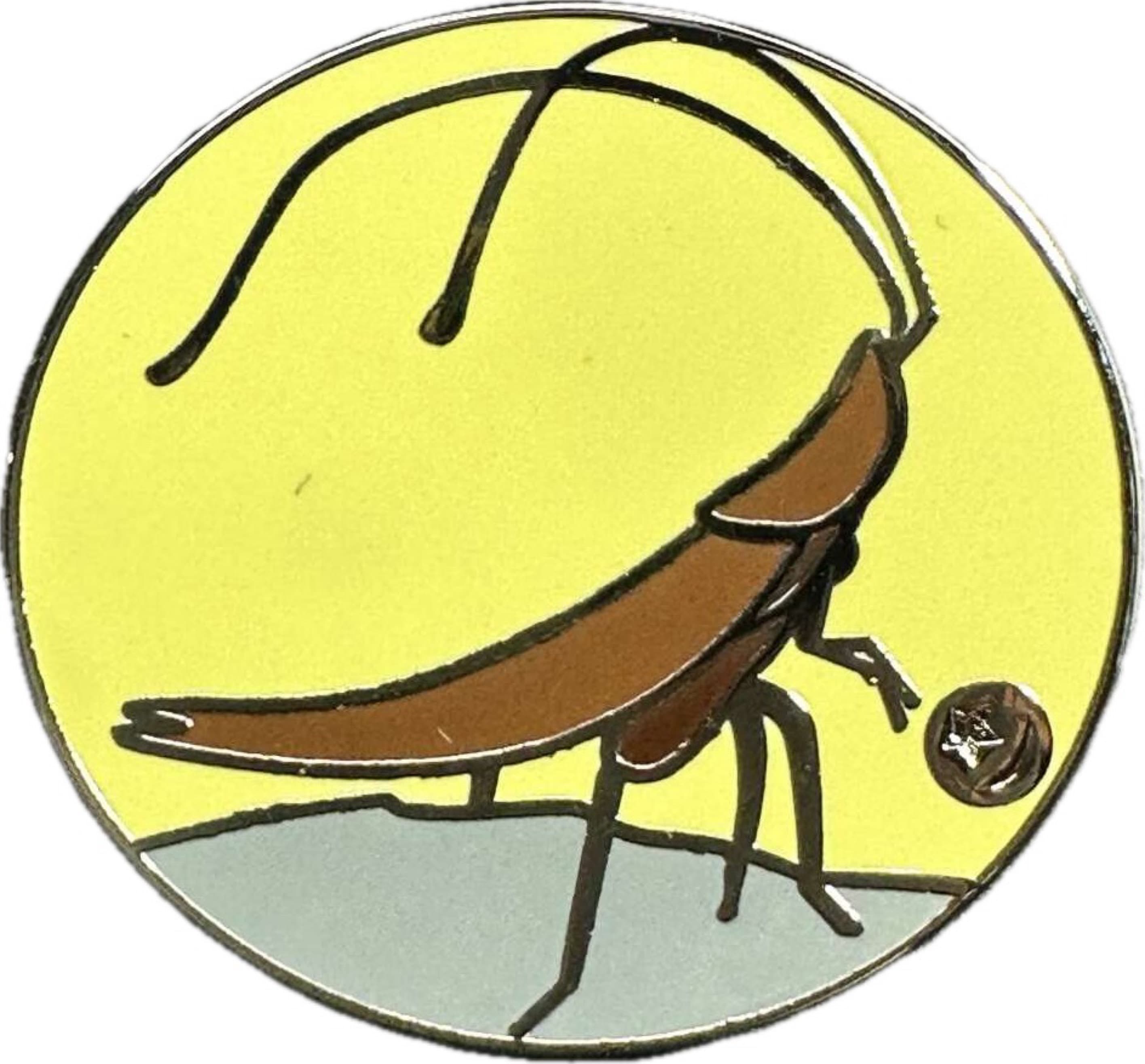 Hal Chaser