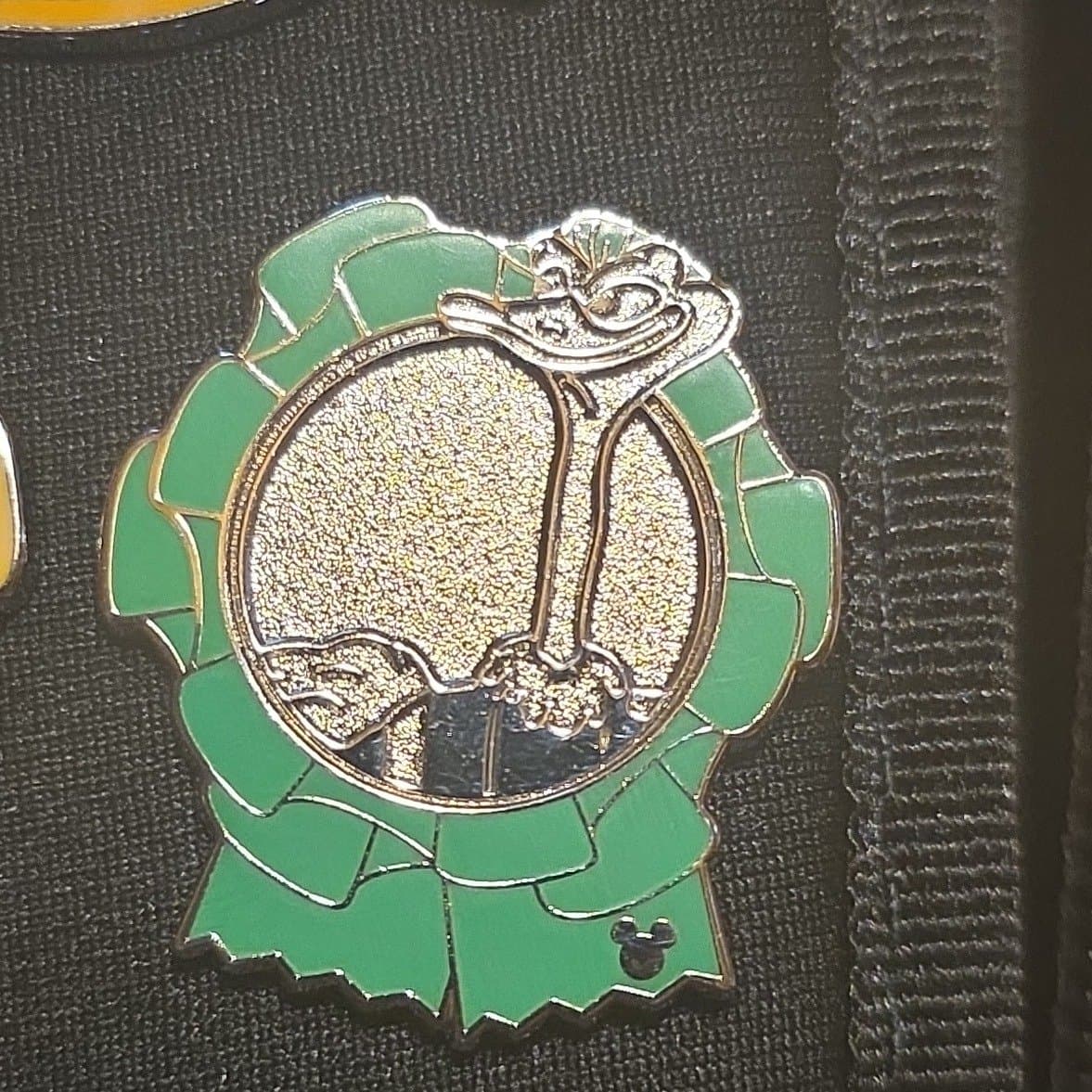 Ostrich Ribbon front