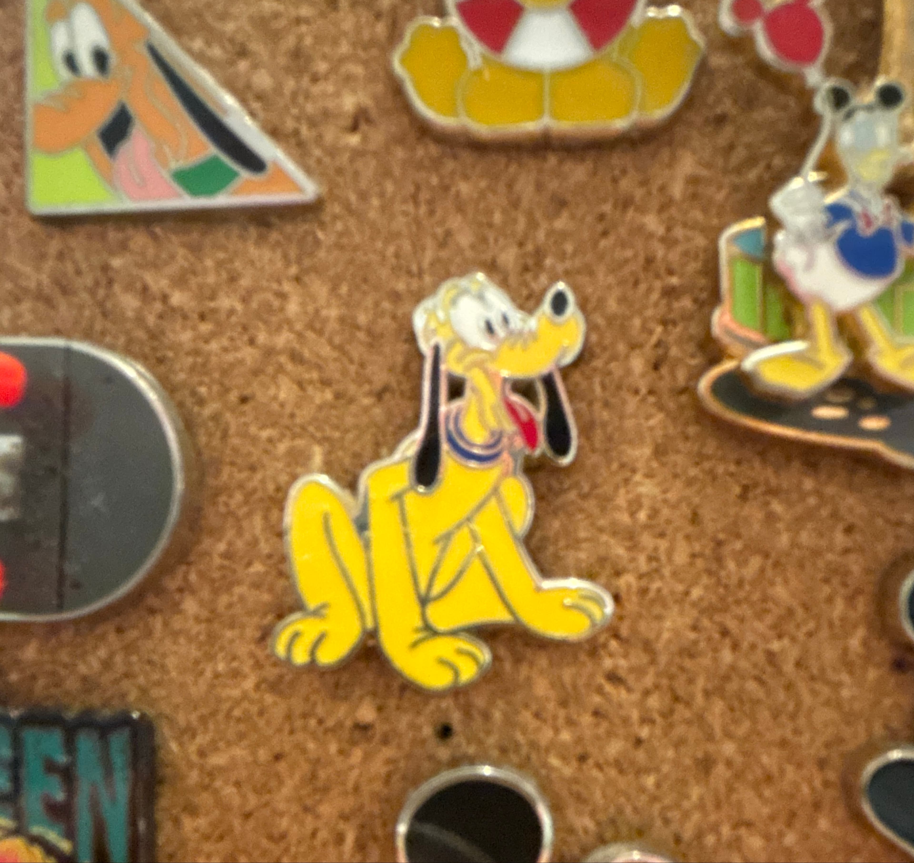 Pluto Sitting with Blue Collar