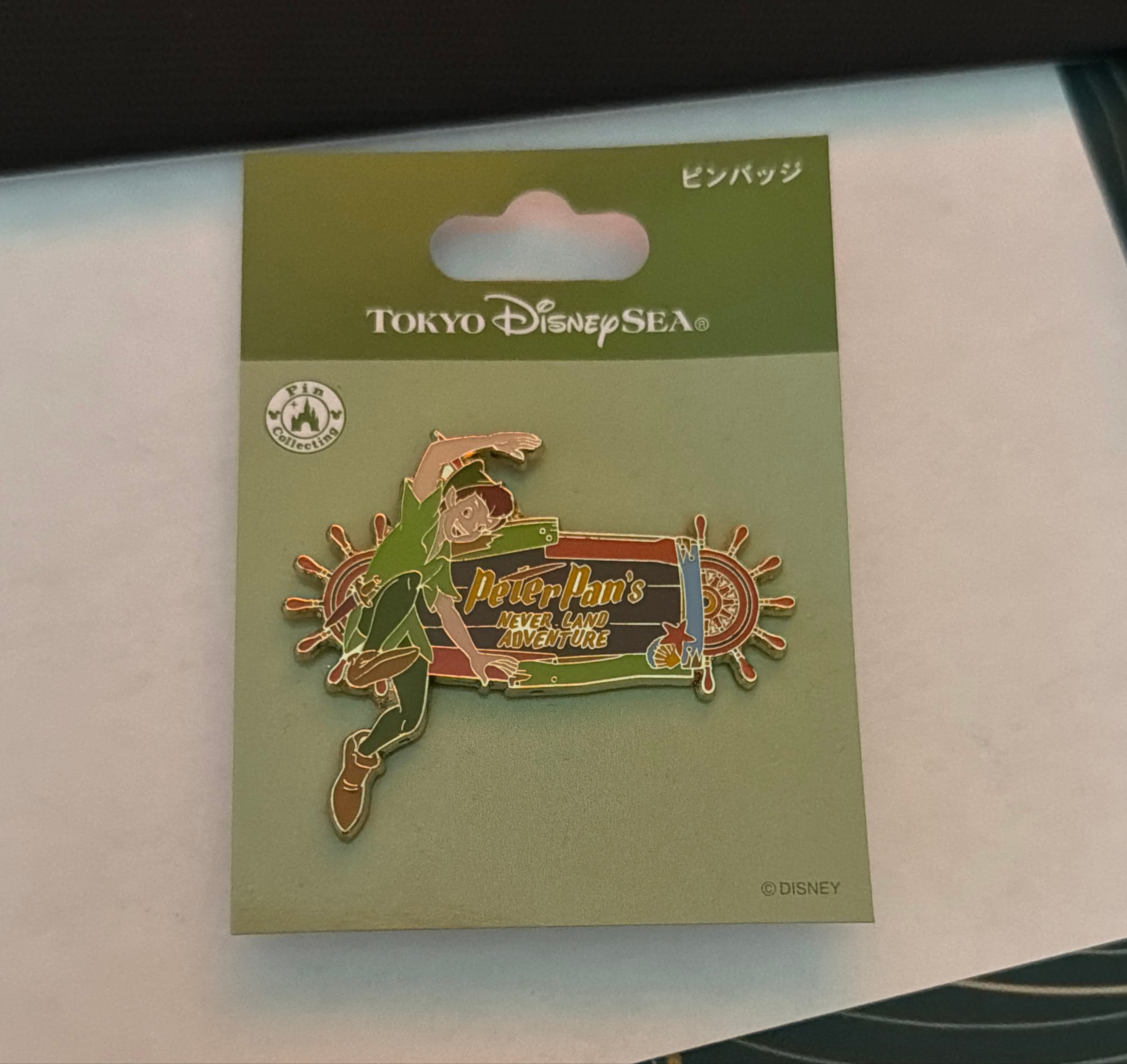 Peter Pan - Peter Pan's Never Land Adventure - Tokyo DisneySea front