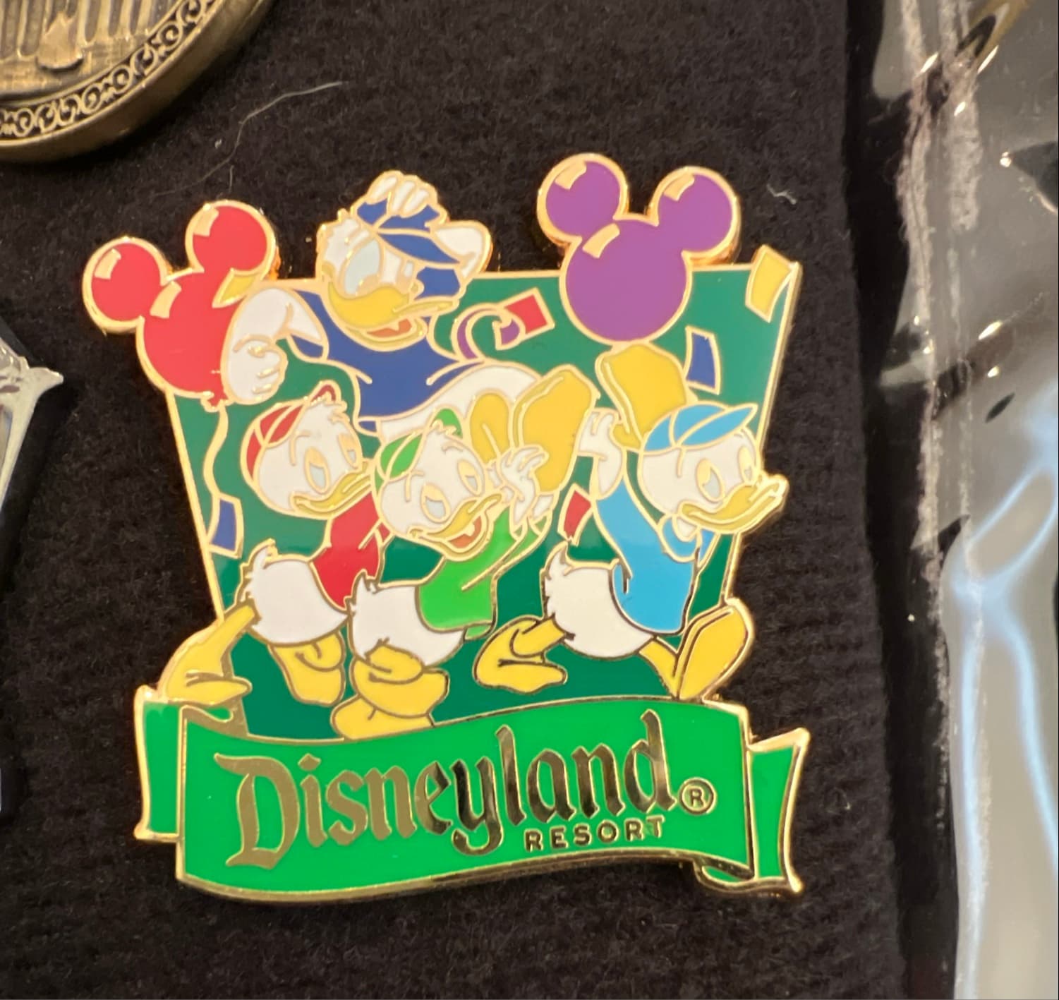 Donald Duck and Nephews Disneyland Resort Pin front