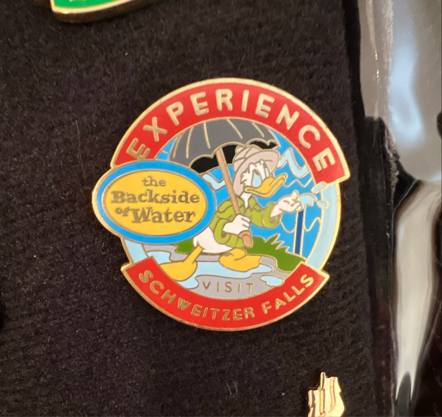 Donald Duck Experience the Backside of Water Schweitzer Falls GWP Pin front