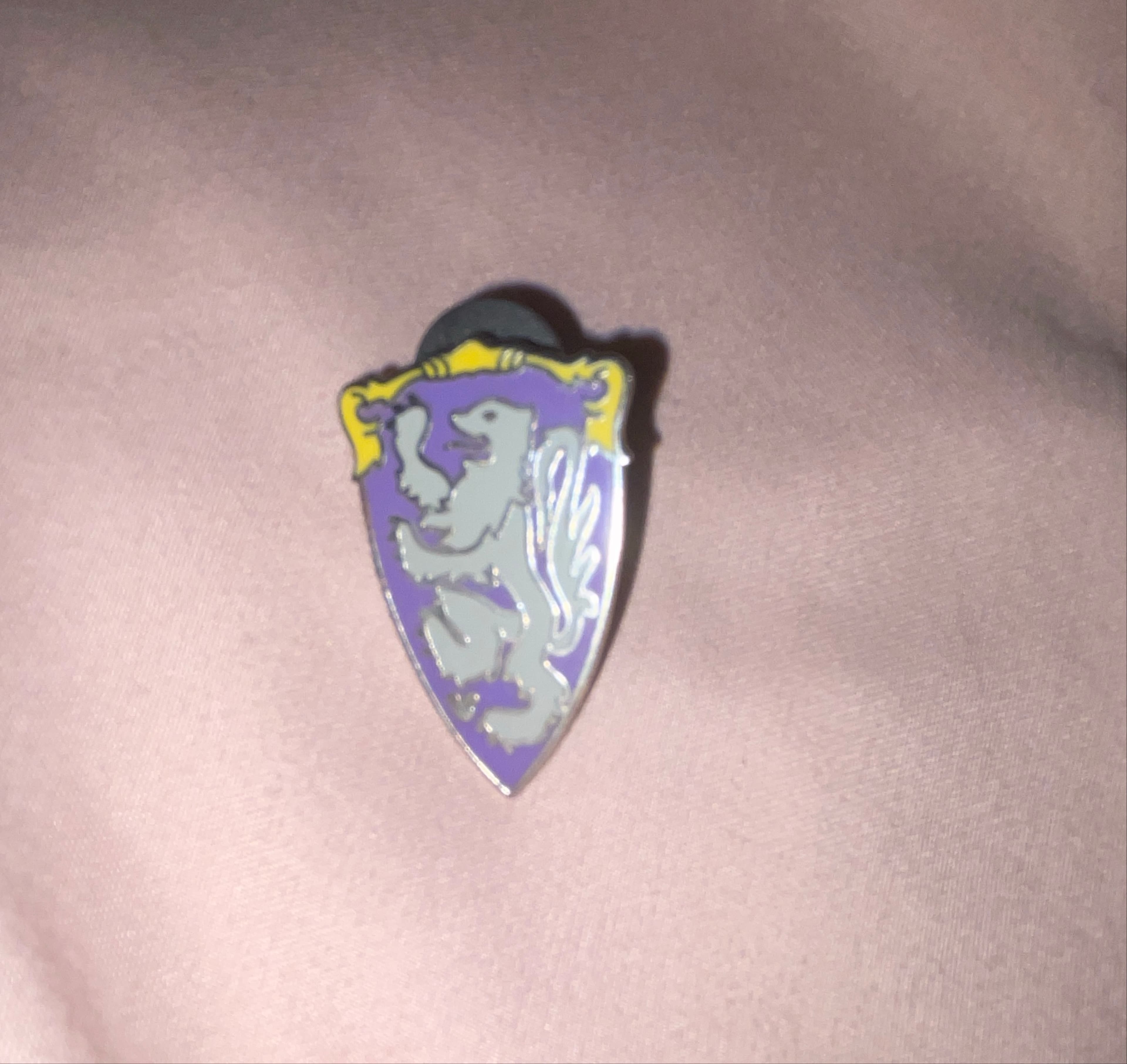 King Arthur Carrousel Shield - Fantasyland Icons front