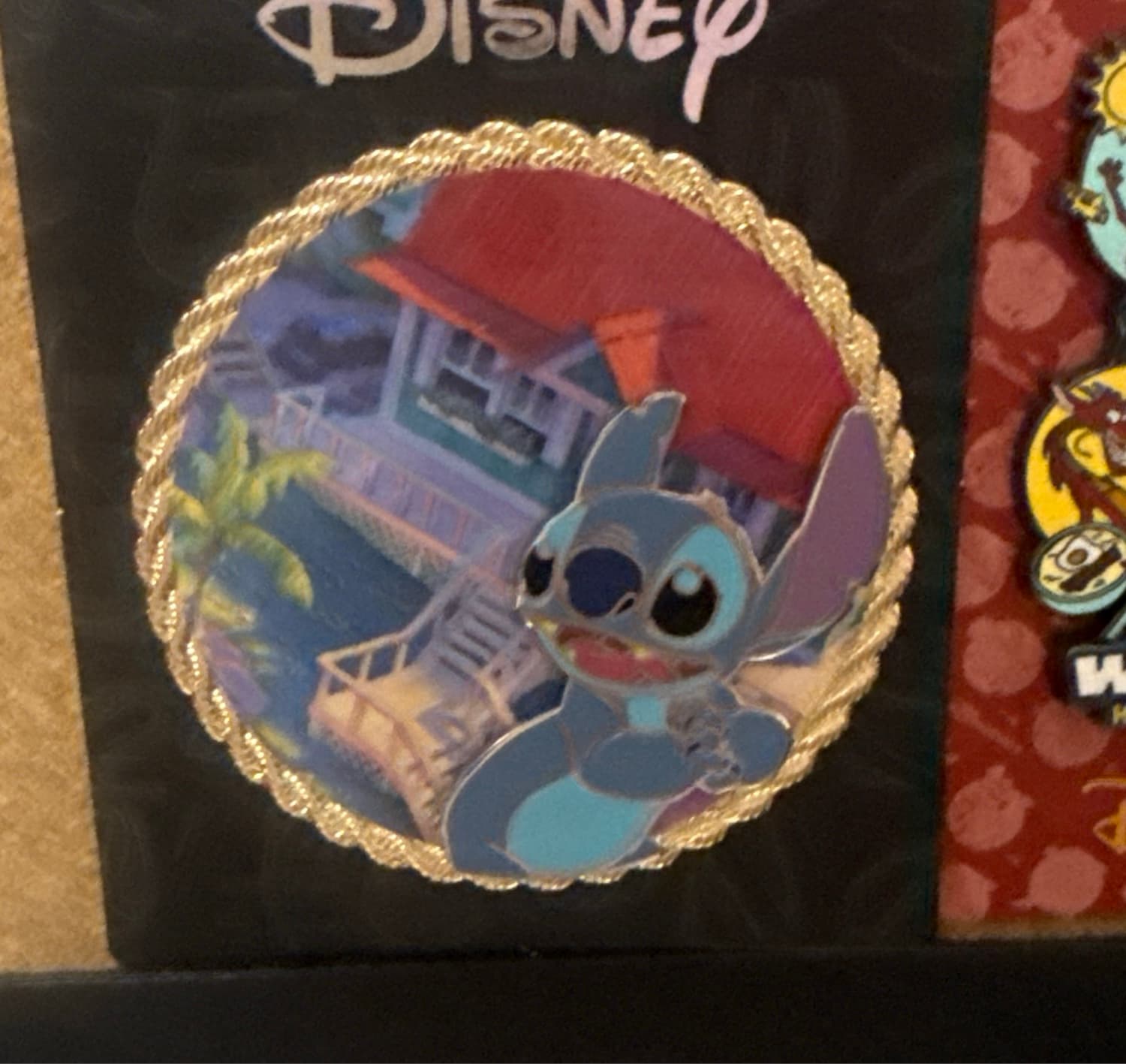 Stitch house