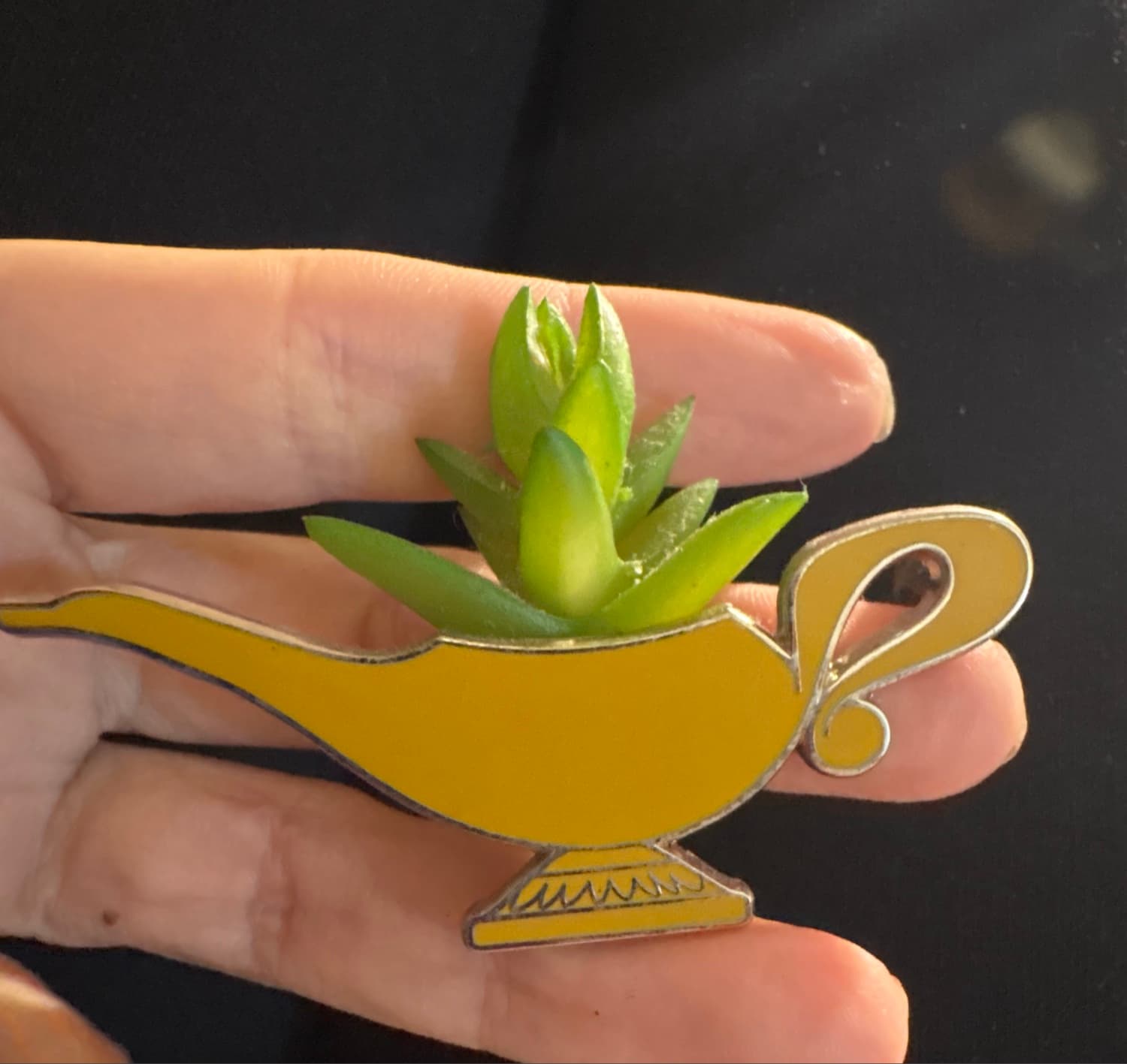 Aladdin Genie Lamp Succulent Plant Pin