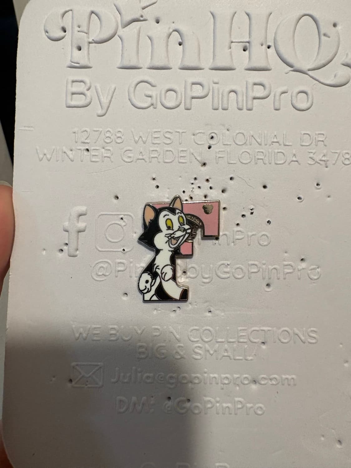 Figaro Cat Alphabet Letter F Pinocchio