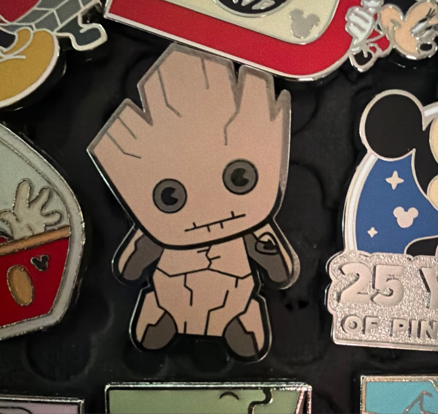 I Am Groot with Succulent Plant