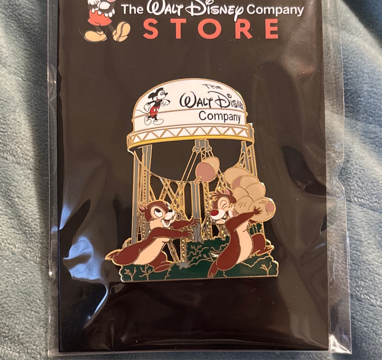 Chip 'n Dale Walt Disney Company Water Tower Pin