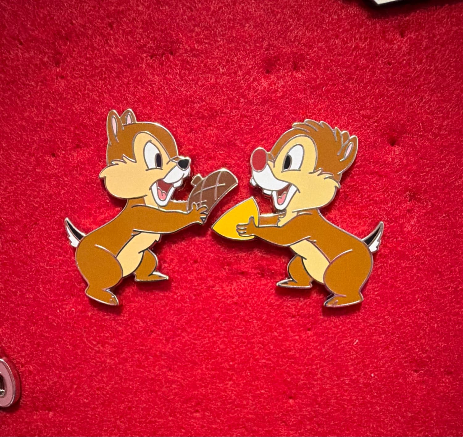 Chip & Dale Holding Acorns