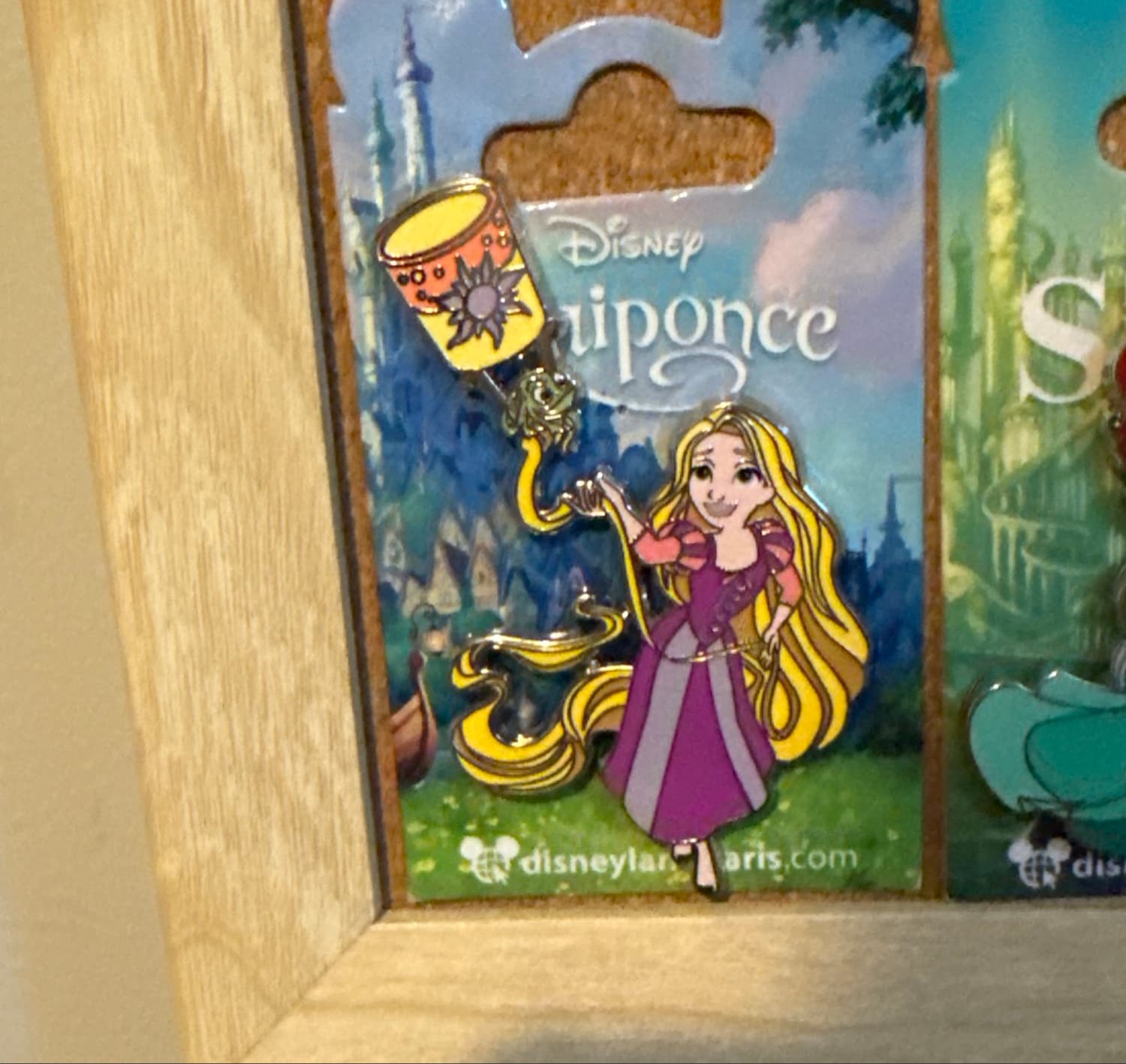 DLR Rapunzel