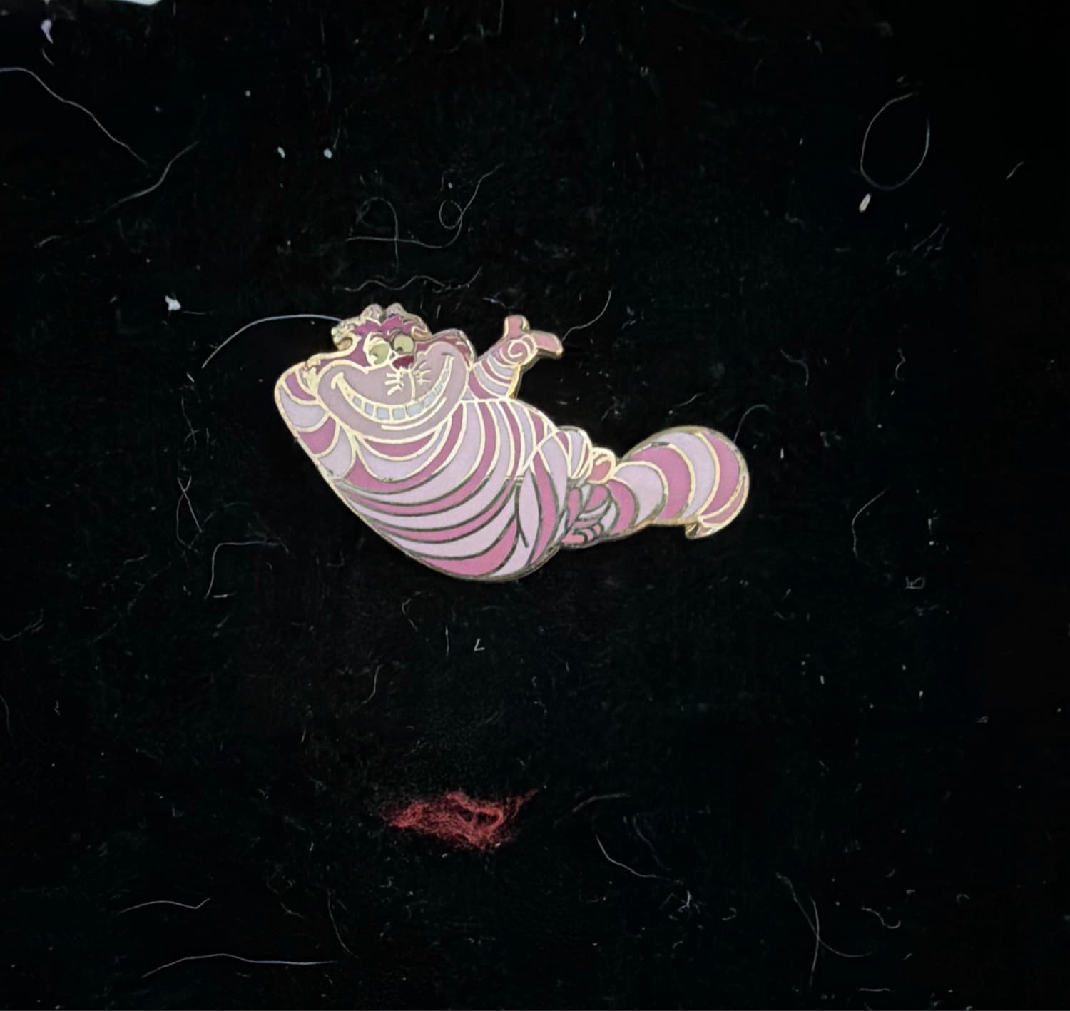 Cheshire Cat Floating on Side to Left - Alice in Wonderland front