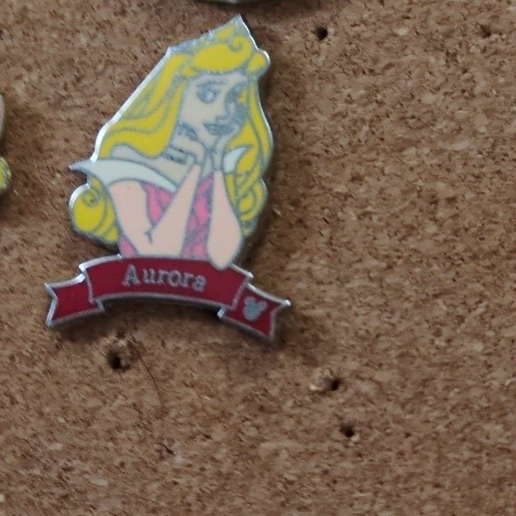 Princess Aurora Name Banner Hidden Mickey Pin