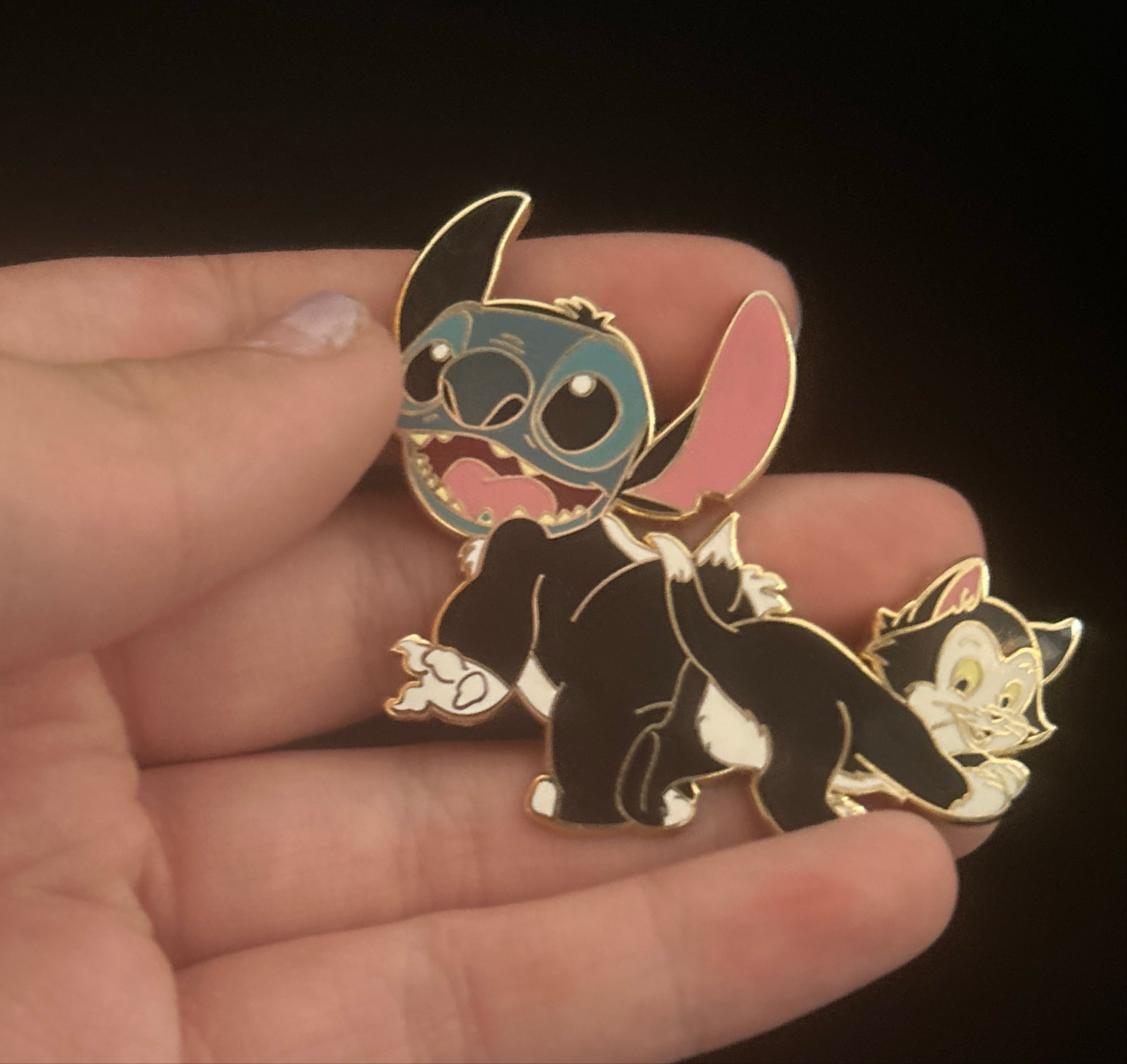 Stitch and Figaro
