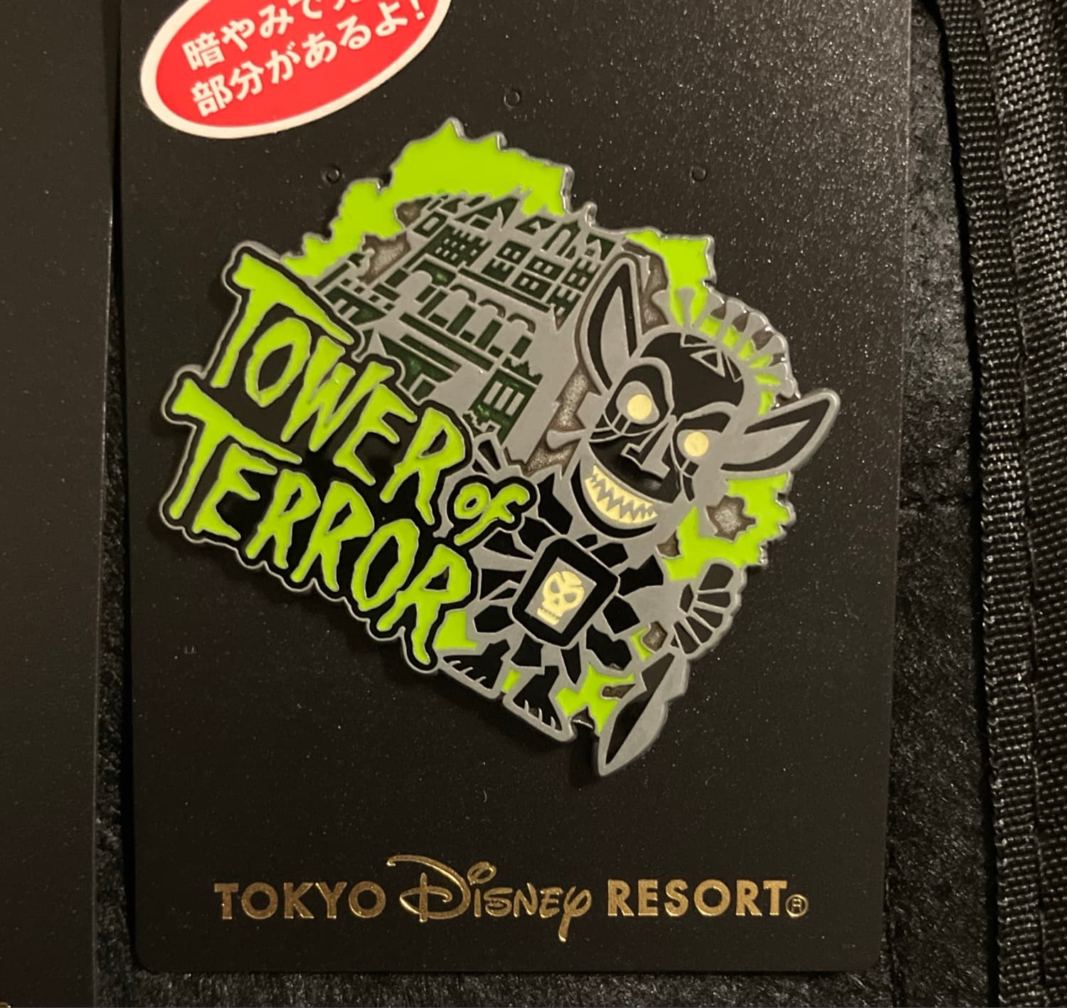 Tokyo Disney Resort Tower Of Terror Shiriki Utundu Glow in Dark Pin