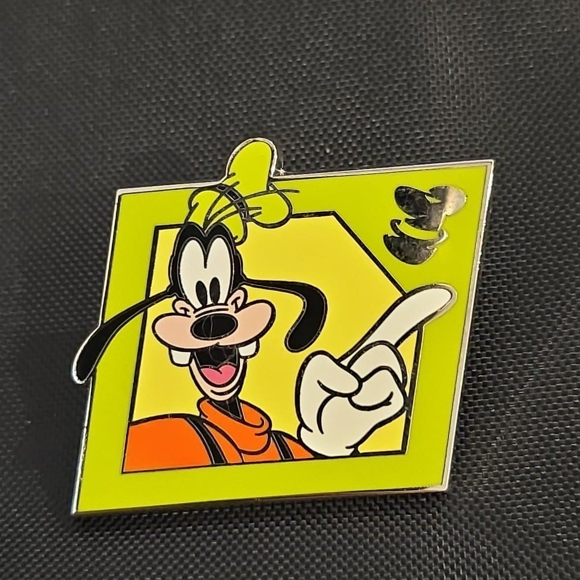 Goofy Pointing in Green Frame - 2013 Hidden Mickey