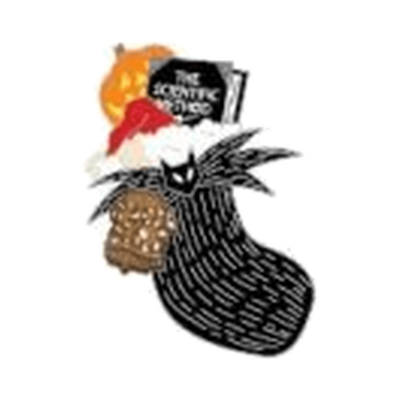 Black Pinstripe Scientific Method Stocking - Haunted Mansion Holiday Mystery Pin front