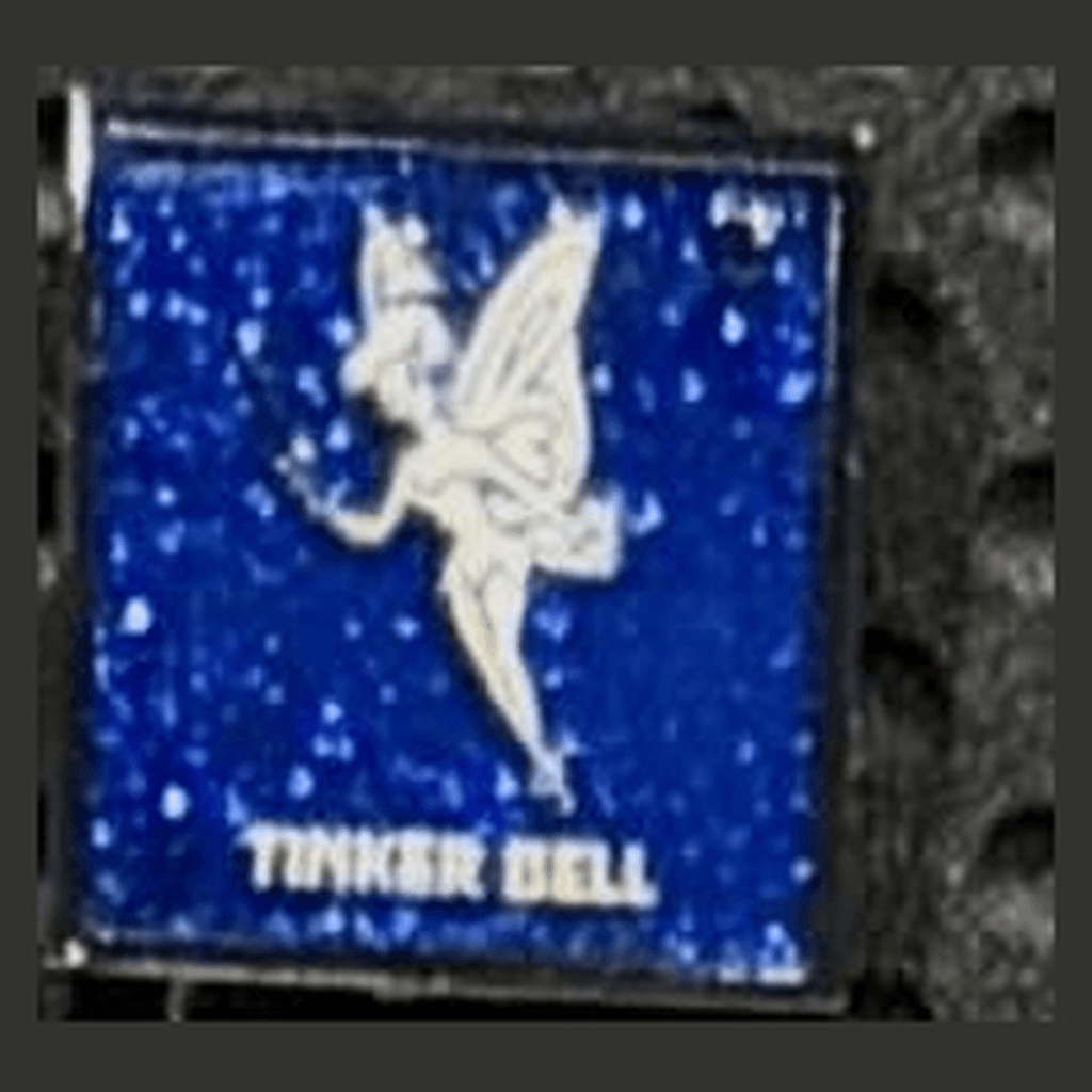 Tinker Bell Parking Lot Chaser front