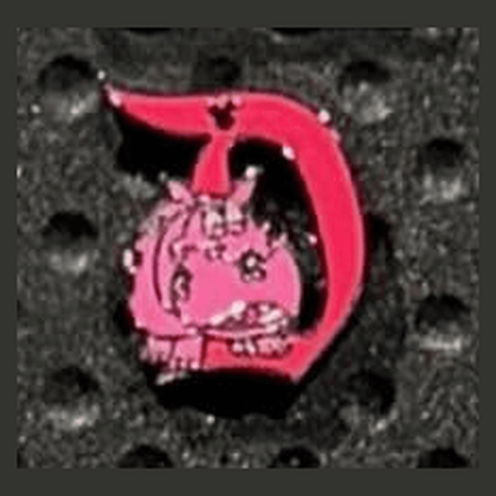 Hippo Disneyland D Chaser front
