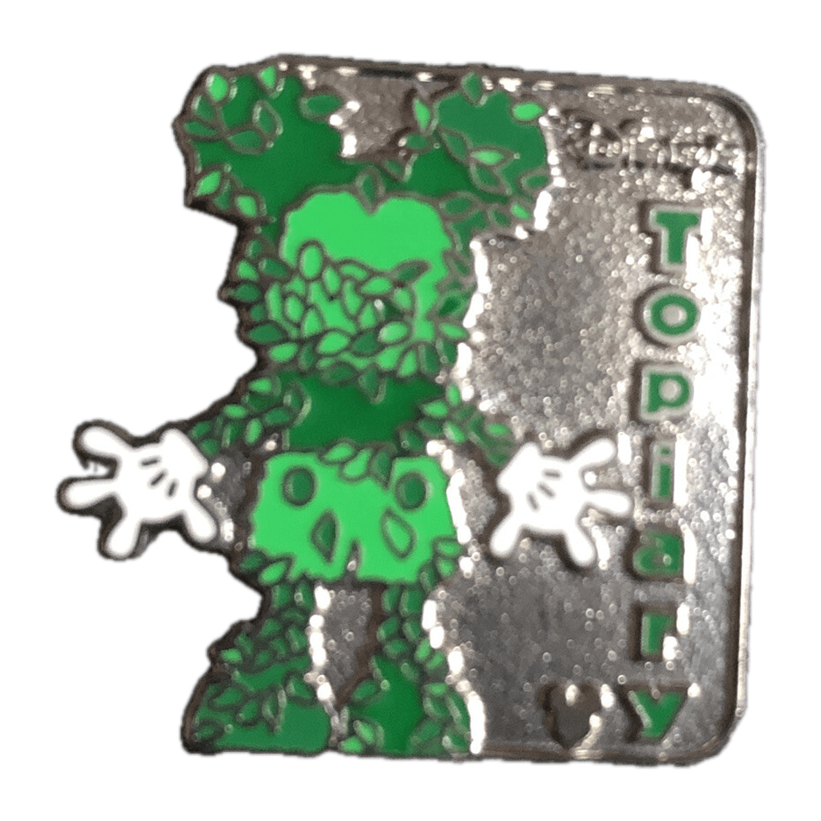 WDW Hidden Mickey 2007