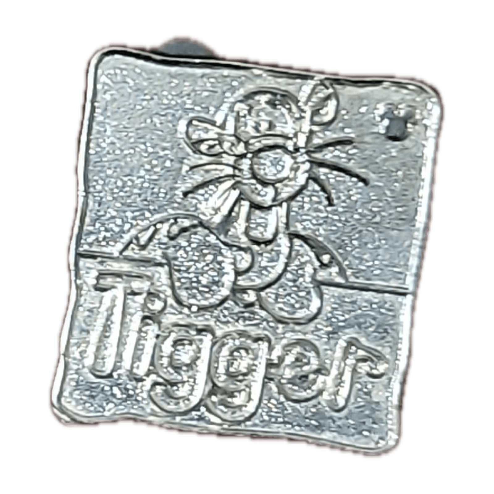 Tigger Chaser - Winnie the Pooh and Friends front