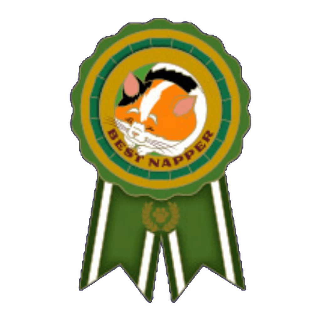 Mochi - Best in Show front