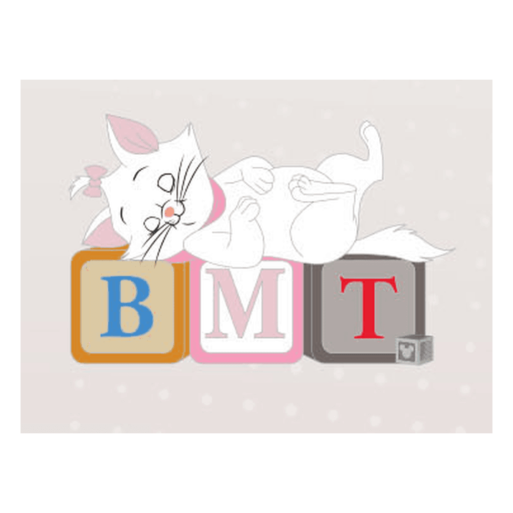 Marie Sleeping on Letter Blocks - Pin Bookshelf Framed Set front