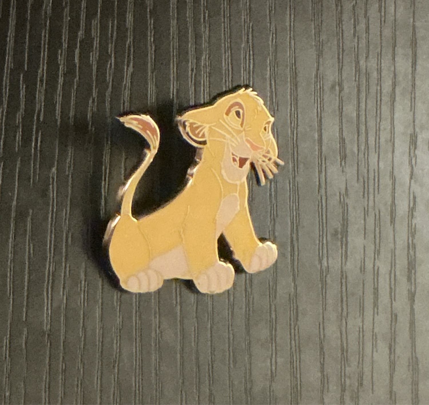 Young Simba With Floppy ears