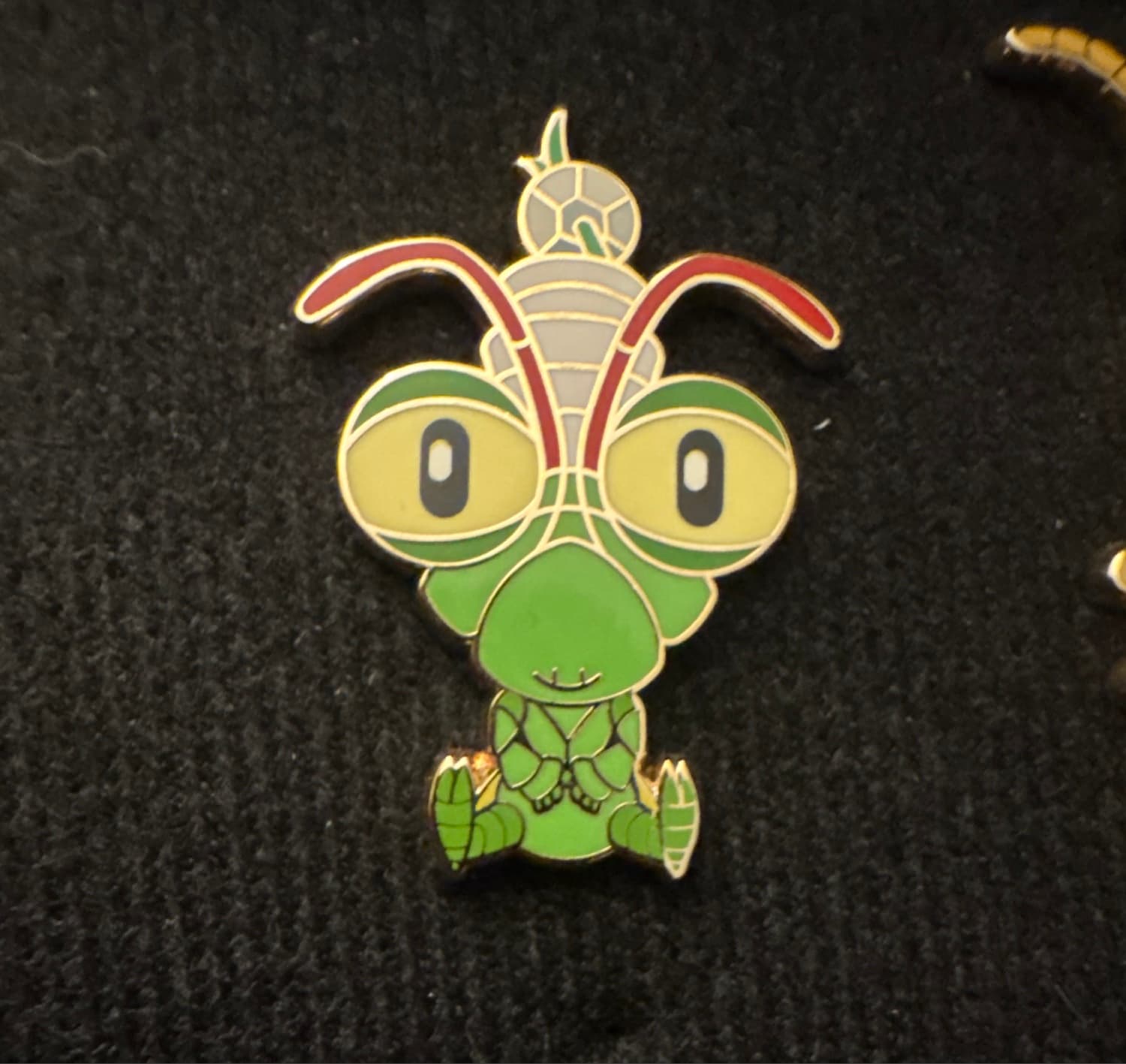Manny Adorbs front