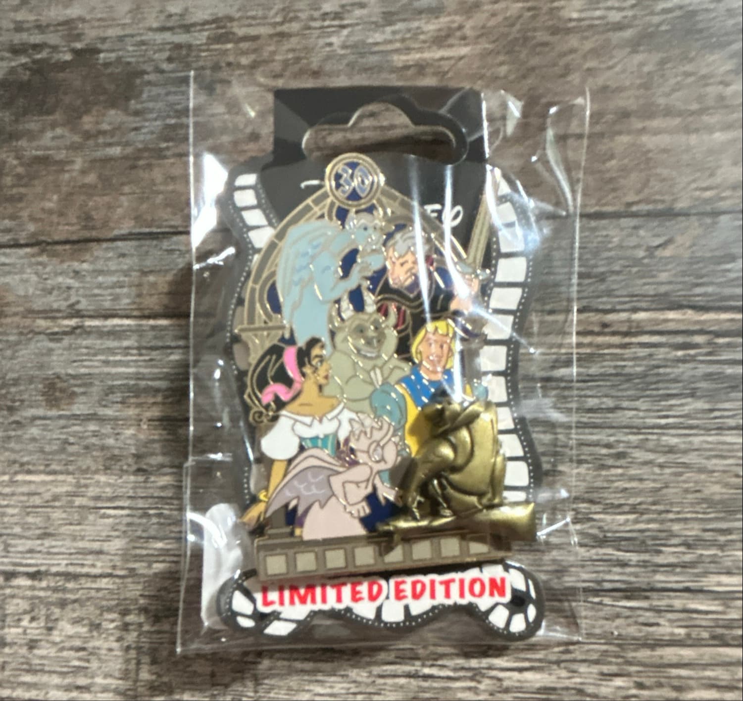 Hunchback of Notre Dame 30th Anniversary Group Pin front