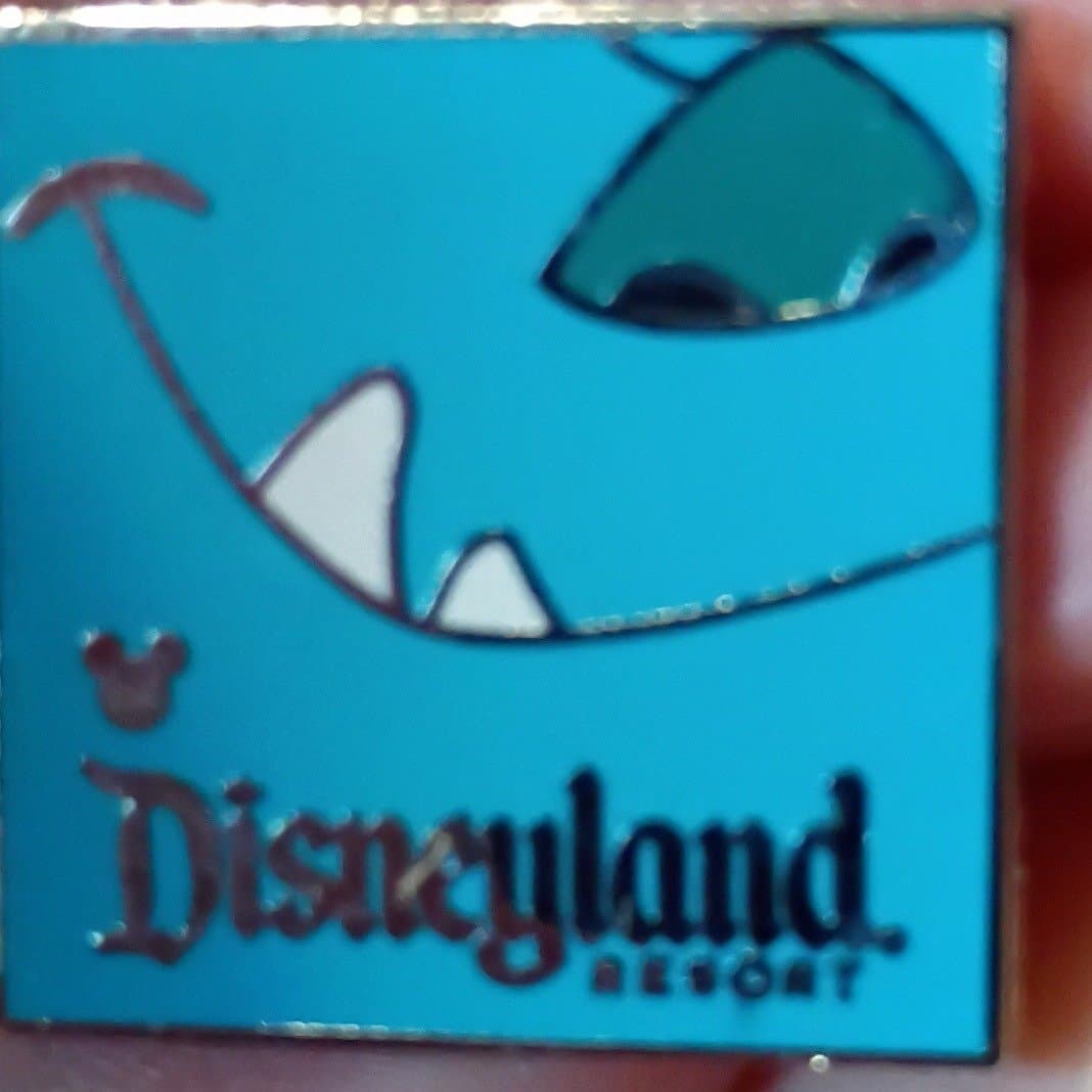 Sully Face Hidden Mickey Pin front