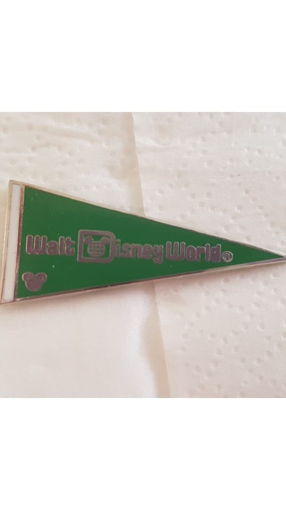 Hidden Mickey 2010 WDW - Green Pennant